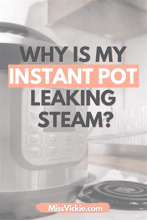 Instant Pot Leaking Steam: 4 Helpful Fixes!